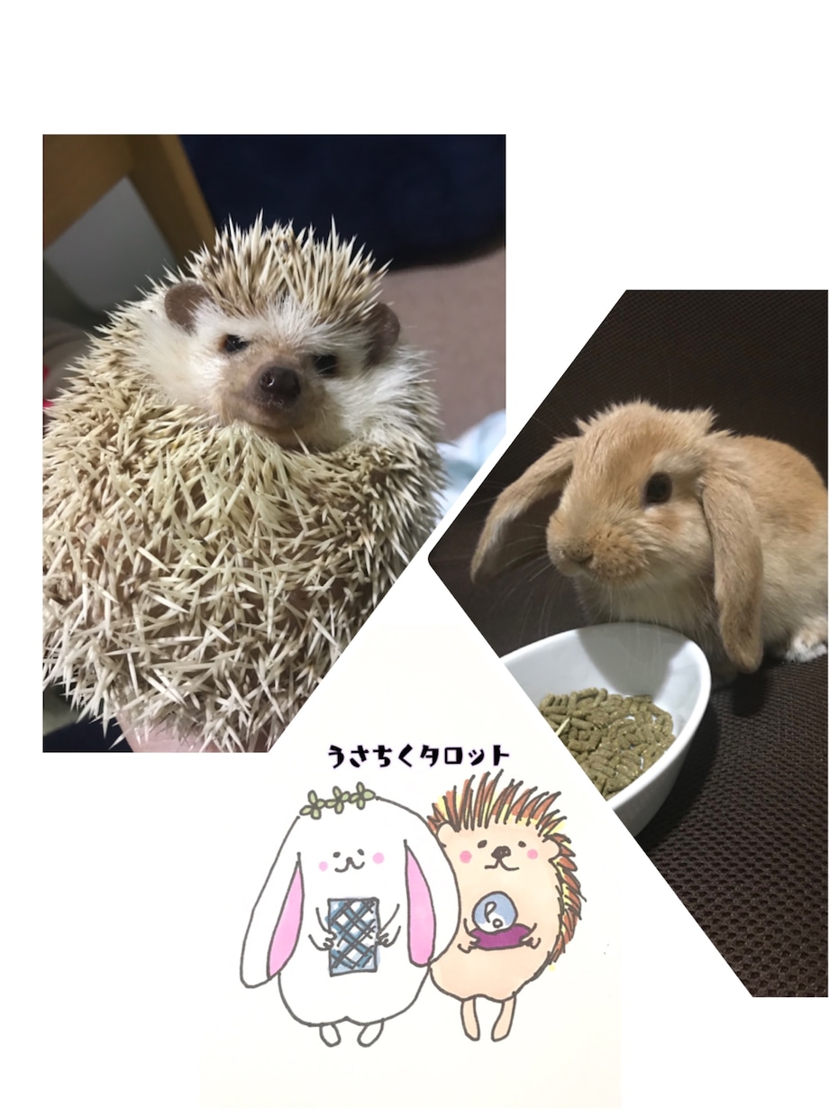 24時間以内鑑定。気持ちに寄り添い鑑定致します 〜恋愛状況判断〜〜お仕事アドバイス〜 イメージ4