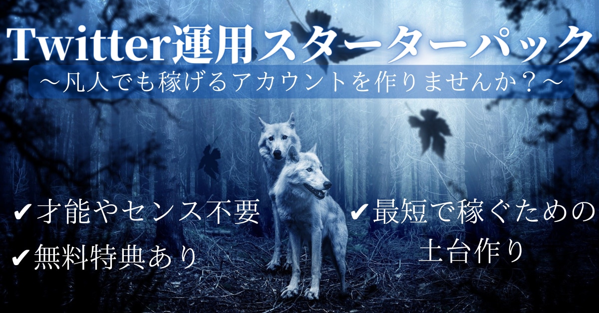 Twitter初心者でも収益化のアカウント作ります あなただけの収益化アカウントを一緒に作成しましょう イメージ1
