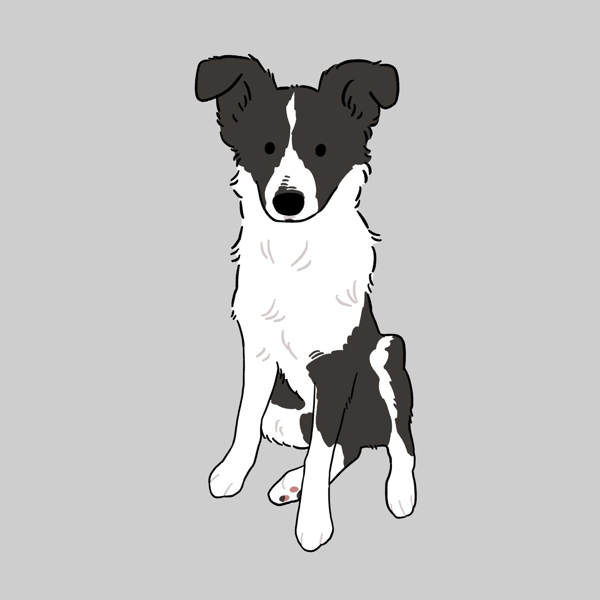 どんなペットも心こめてイラストにさせていただきます 犬•猫•小動物•エキゾチック•爬虫類等あらゆる動物描きます！ イメージ9