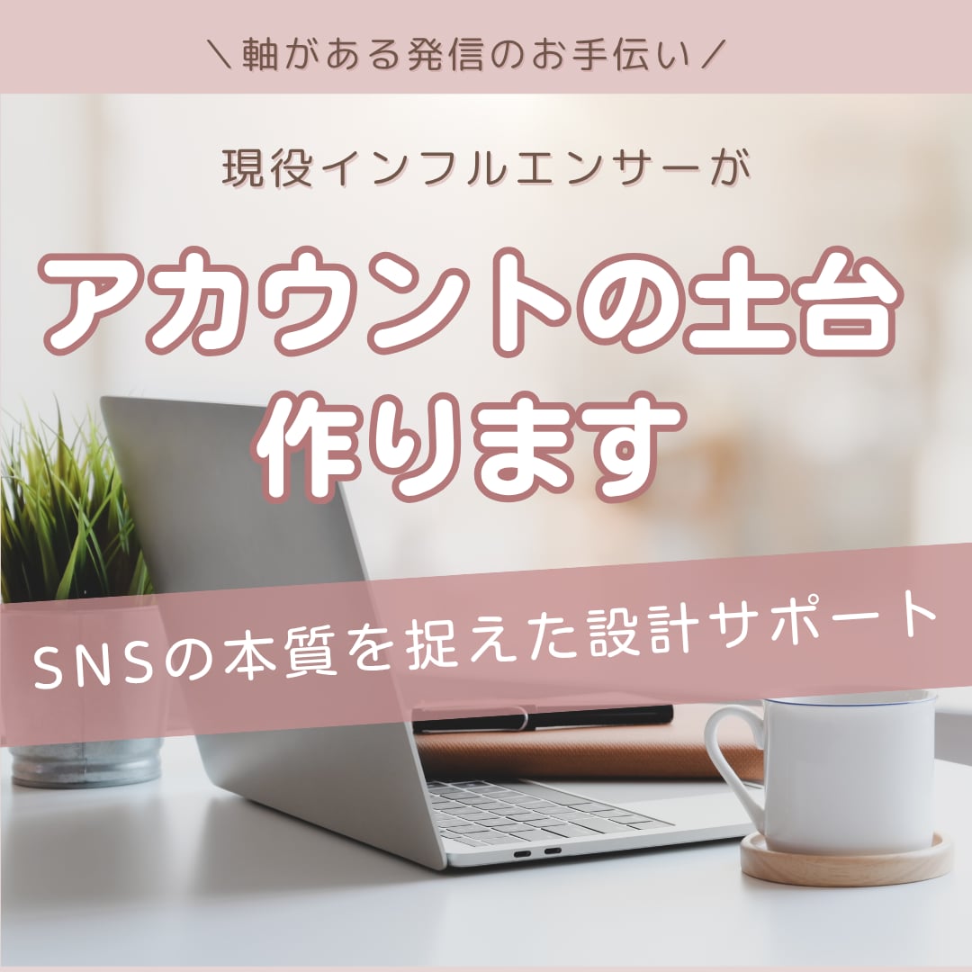SNSの本質に特化した設計運用コンサルを提供します 本質を理解しないままでは運用できません イメージ1