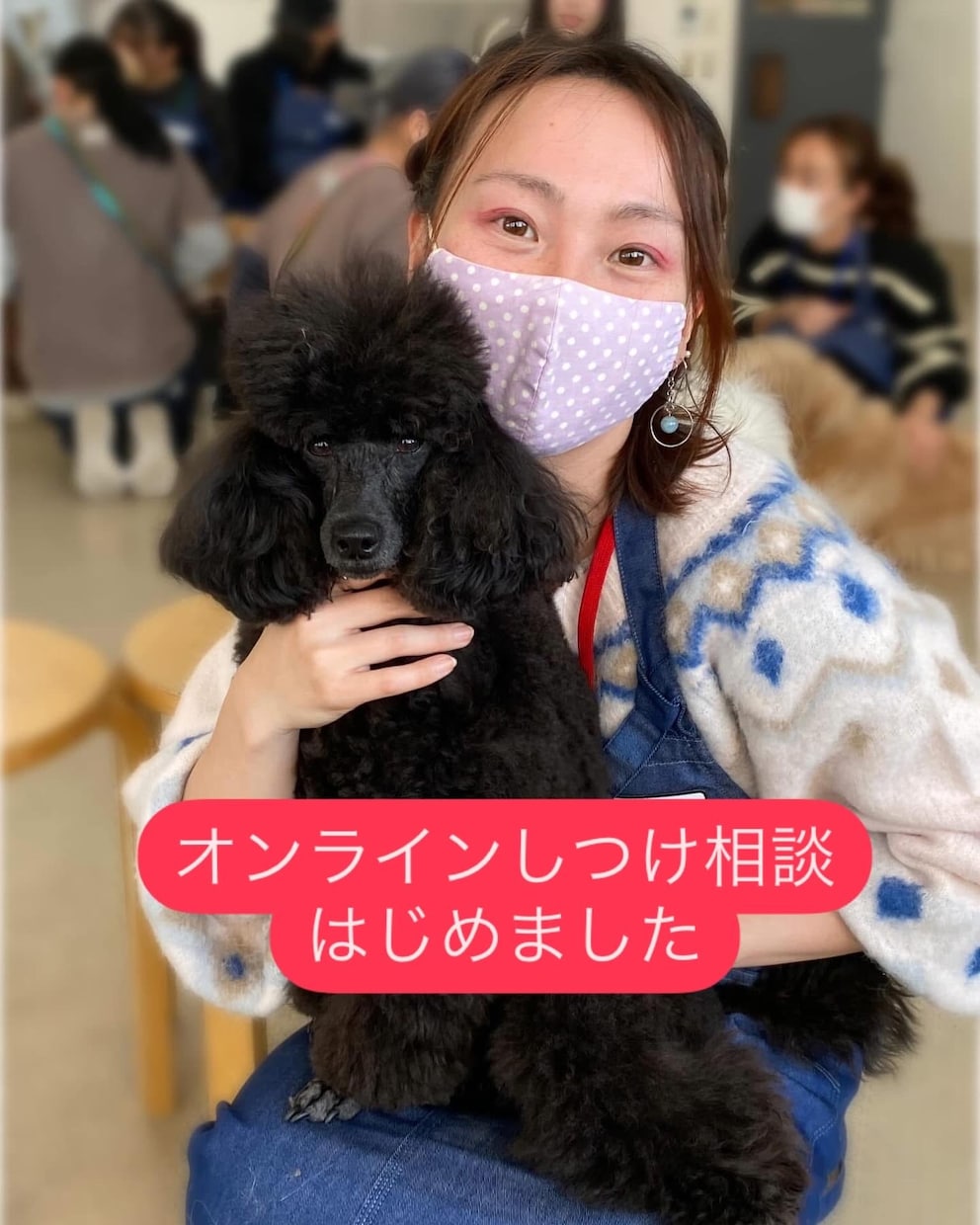 オンラインしつけ相談をします ペットとより良い暮らしに！しつけ教室の前にご相談ください！ イメージ1