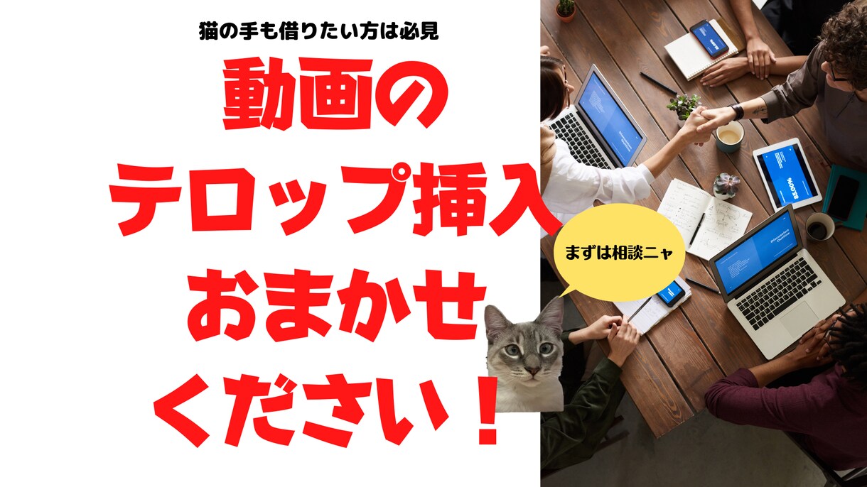 YouTube等のテロップ挿入請負ます 猫の手も借りたい方、まずご相談させてください！ イメージ1