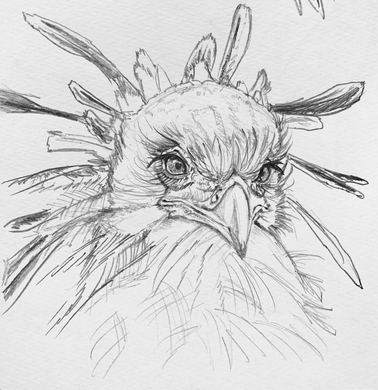 世界に一つだけのかっこいいデッサン似顔絵を描きます 動物人物OK♪インテリアや記念日、プレゼントにも！ イメージ1