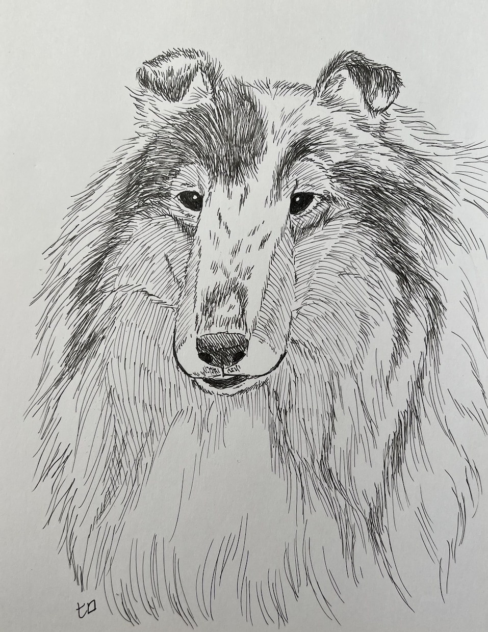 モノクロペンで描く、犬専門の似顔絵描きます 大切なご家族をペン画で一枚一枚、心を込めて手描きします。 イメージ4