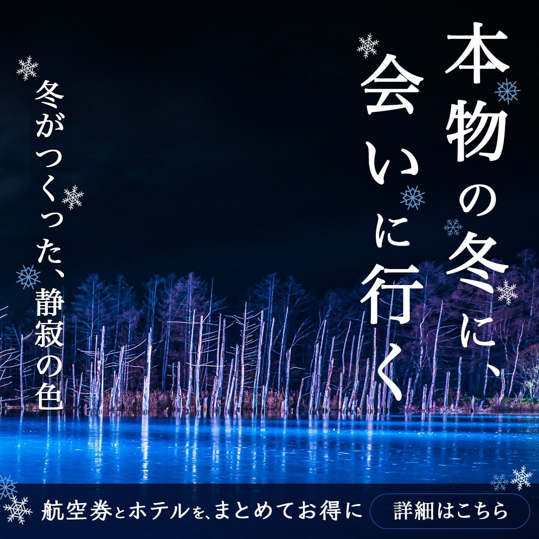 Webバナーを丁寧にデザインします 伝えたい想いを、見やすく印象に残るバナーへ イメージ2