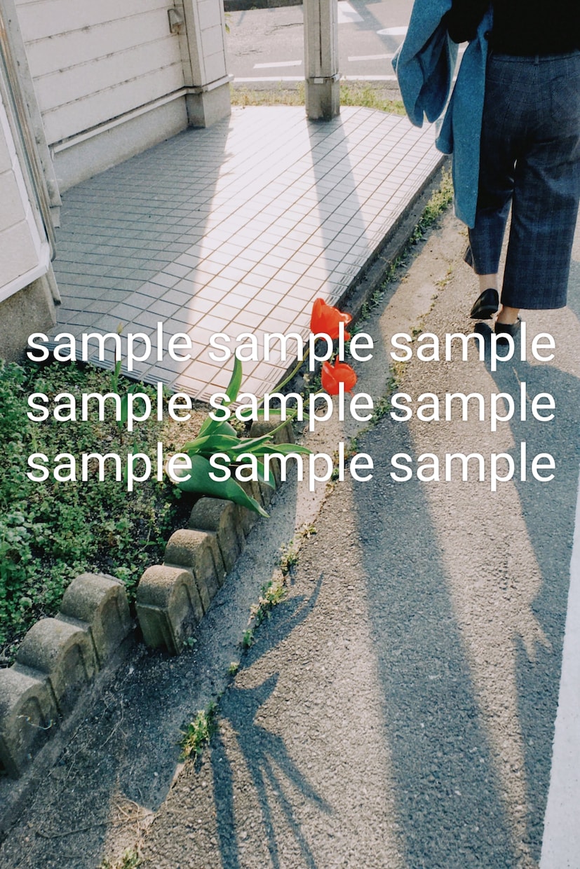 ほっこりするスナップ写真を提供します 日常をエモく、さり気なく写しました。 イメージ2