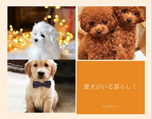 ピンタレスト、ワードプレスの設定のサポートをします 在宅の副業などワードプレスの設定や管理の手伝いをします！ イメージ1