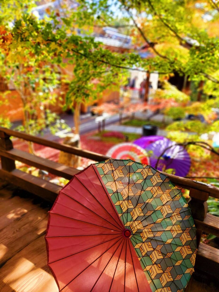 関西地方で写真撮影代行します 枚数無制限！出張撮影・写真撮影・質問お気軽に☆ イメージ1