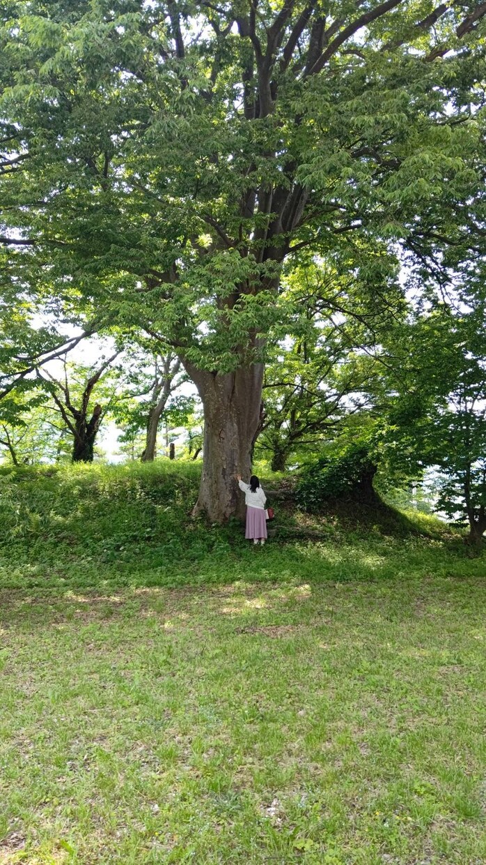 60分即レス回数無制限☆ライン感覚お話しできます いつでも♡なんでも☆楽しくライン感覚でお話しましょう♬ イメージ2
