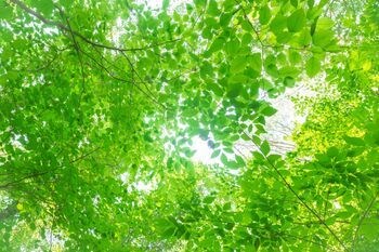 なんでもお話聞きます 繋がっている間は私は貴方だけの未来です。 イメージ2