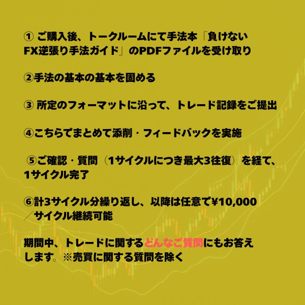 FXで「負けない」手法の確立を徹底サポートします 手法本付き！負けグセマインドをルールで断ち切ります イメージ5