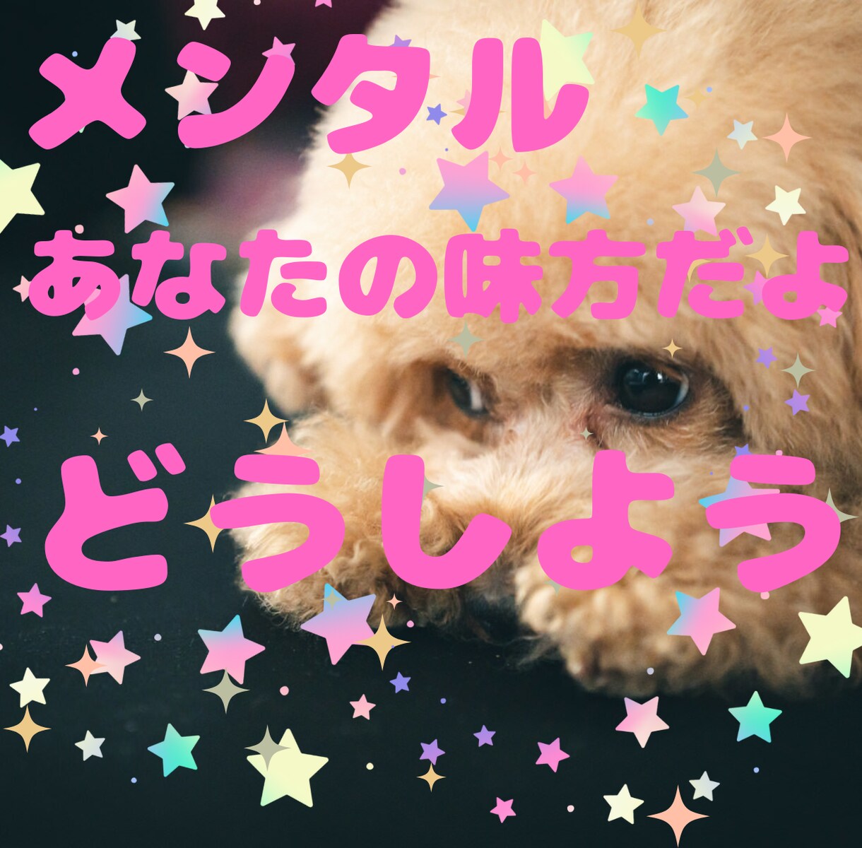 メンタル弱い方全員集合✨メンヘラな方☘探しています メンヘラの方の味方✨✨あなたの心と繋がりあなたの心を救います イメージ1