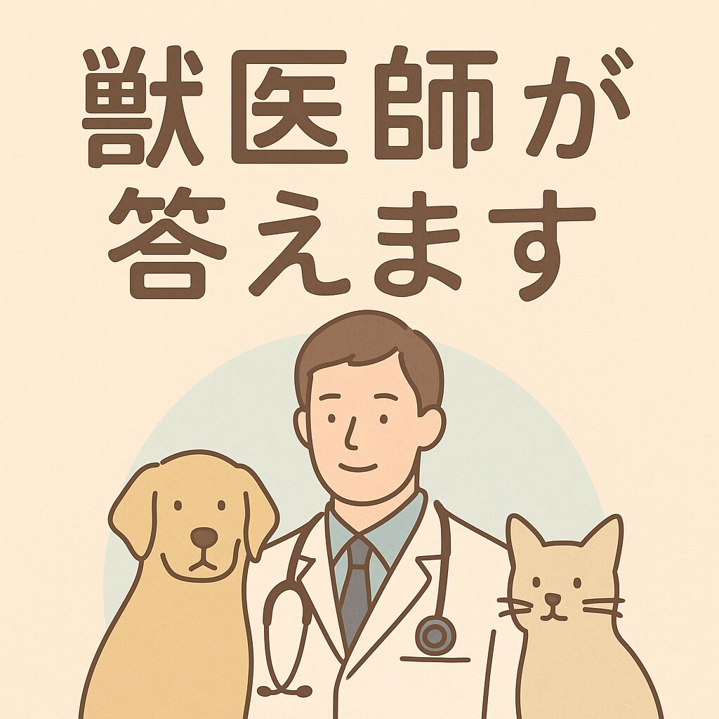飼い主さん向け：フード・サプリ相談のります 獣医師がごはんのアドバイス｜腎臓・腫瘍・アレルギーなど イメージ1