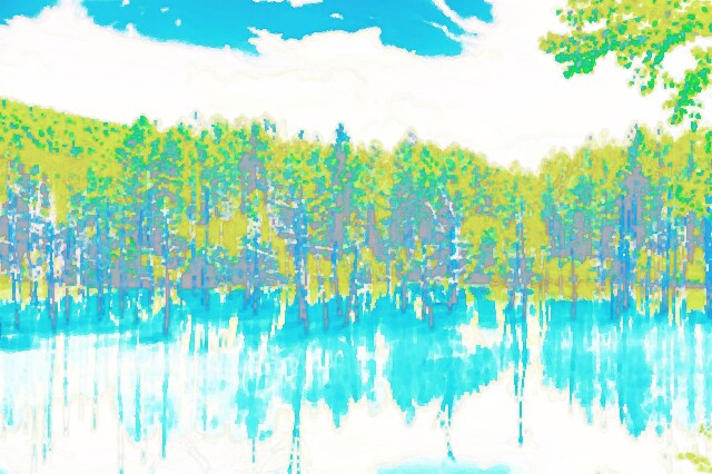 美しい写真をイラストにします ポスターや広告などにオススメ！ イメージ2