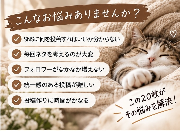 SNS投稿に使える豆知識テンプレ20枚を販売します 「投稿ネタに困ったときに！見やすくまとめた情報画像集」 イメージ2