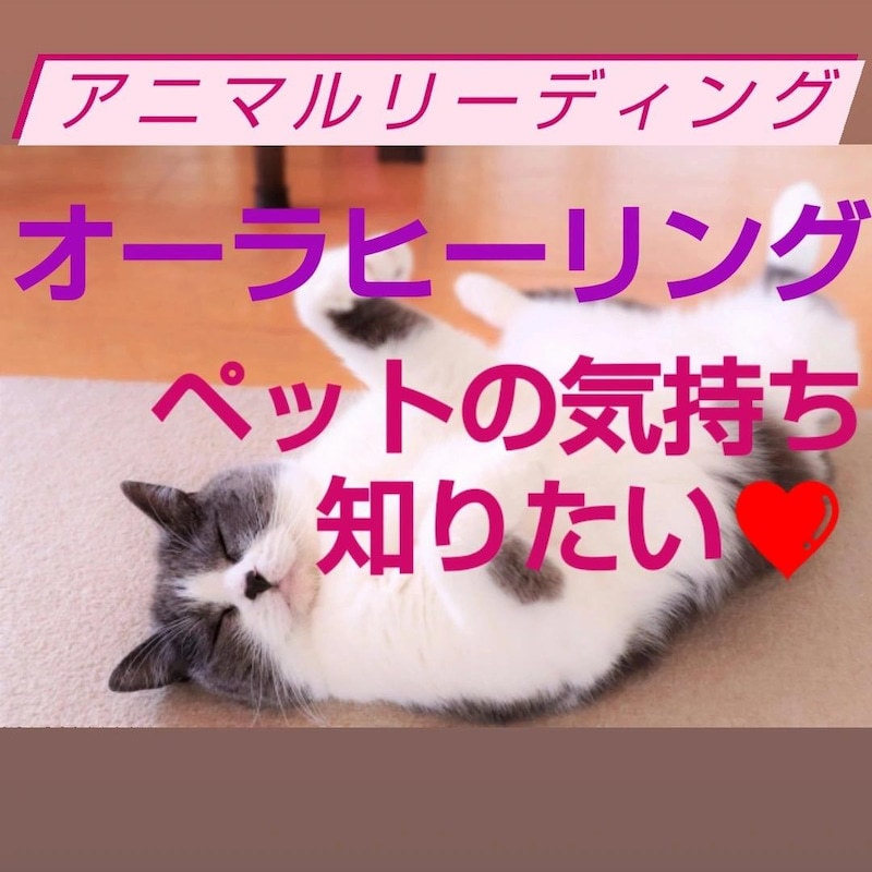 アニマルリーディング&ペットオーラヒーリングします ペットの気持ち❤️ペットコミュニケーション❤️ イメージ1