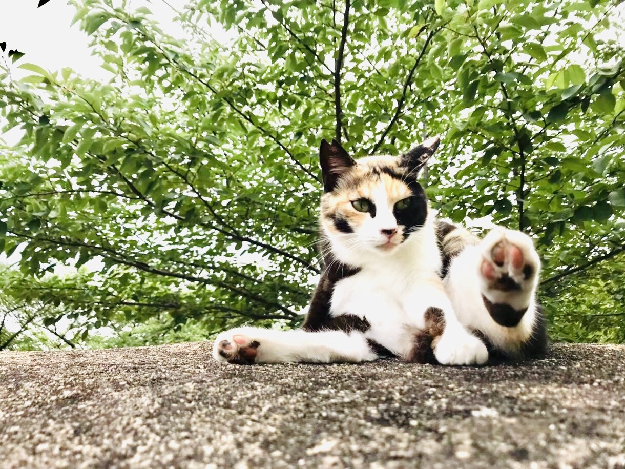 ５分でもOK！どんなお話でも聞きます 溜め込んでいること、話してスッキリしませんか？ イメージ2