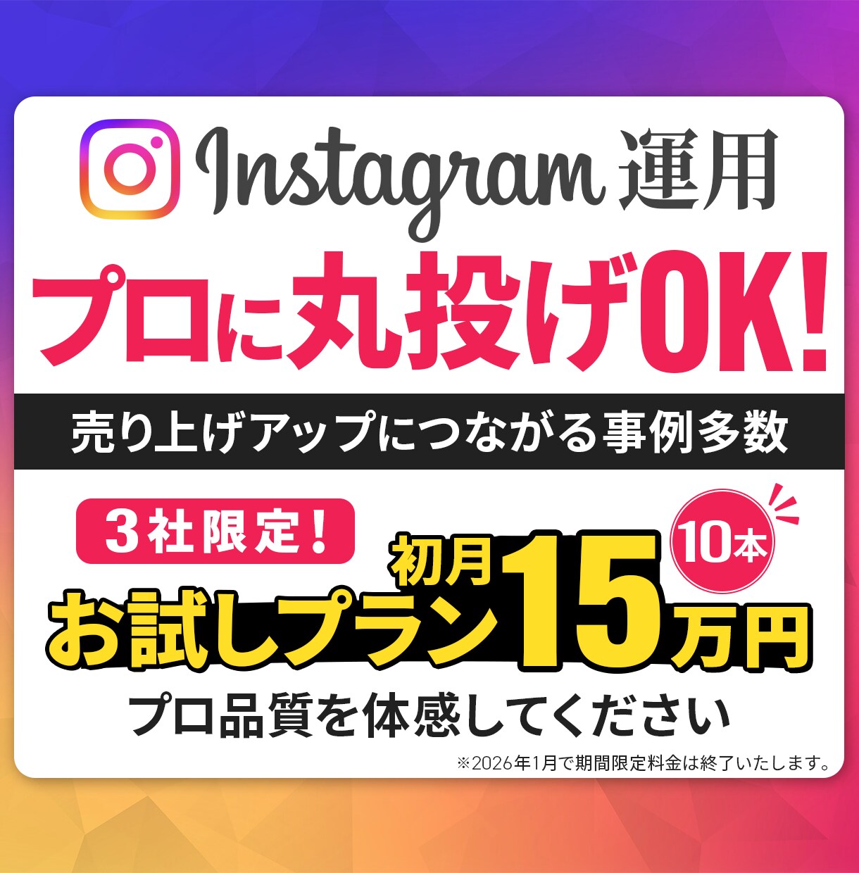 プロに丸投げ！Instagramを運用します Instagramで収益に繋げるためのサポートを行います イメージ1