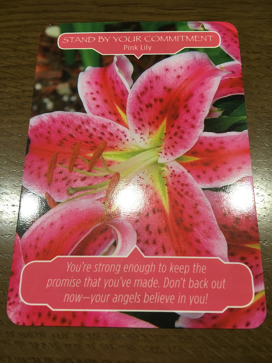 オラクルカードによるリーディングをします お花の写真の、「フラワーセラピーオラクルカード」を使います。 イメージ1