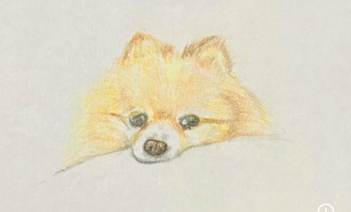 人・ペット、プレゼント用イラスト、など描きます 世界にひとつだけの手描きイラストをお届けします イメージ3