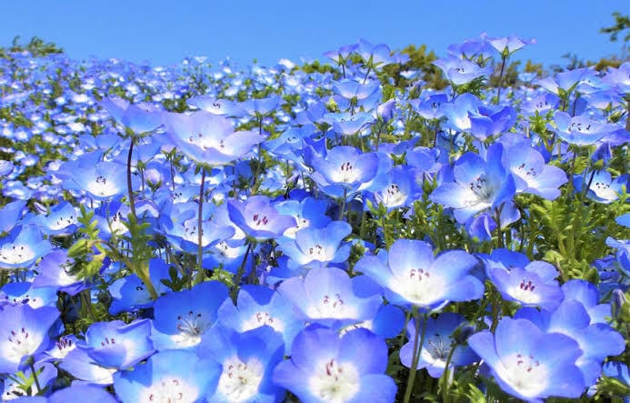 悩みとりあえず聞きます 人には言えないこと言って欲しいこと。第三者だから聞けます イメージ2