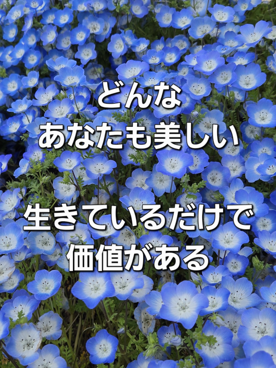 恋愛の不安・相手の気持ちをタロットで鑑定します わんこが癒してくれるタロット占い イメージ3