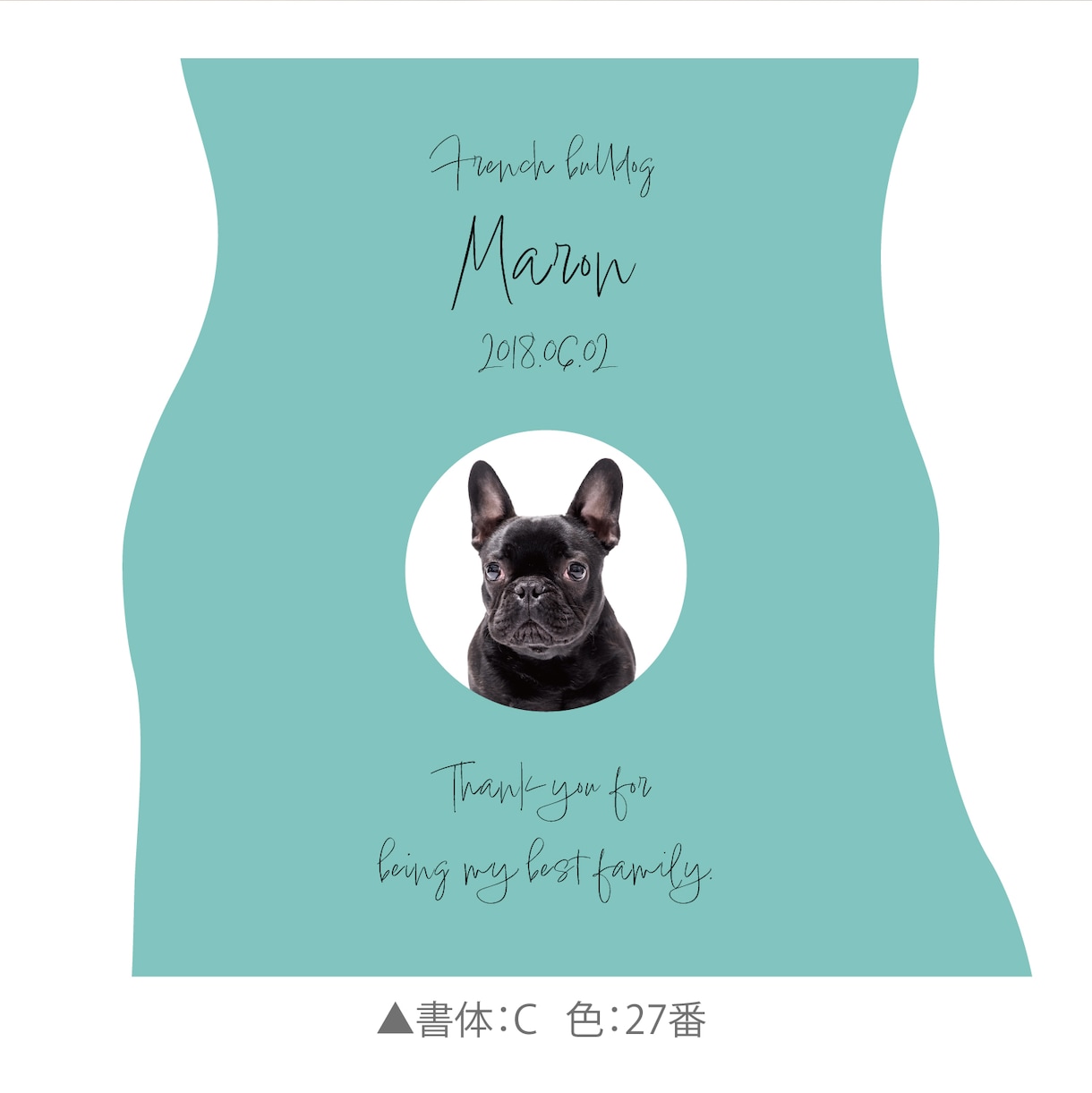 スタイリッシュなペット（犬猫）のクッション作ります メモリアルやインテリア、結婚式のウェルカムボードの代わりに! イメージ7