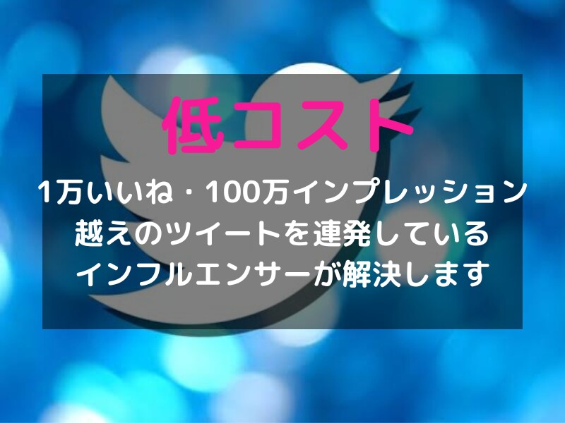 Twitter運用の悩み相談にのります １万フォロワー越えのインフルエンサーが全て丁寧に説明 イメージ7