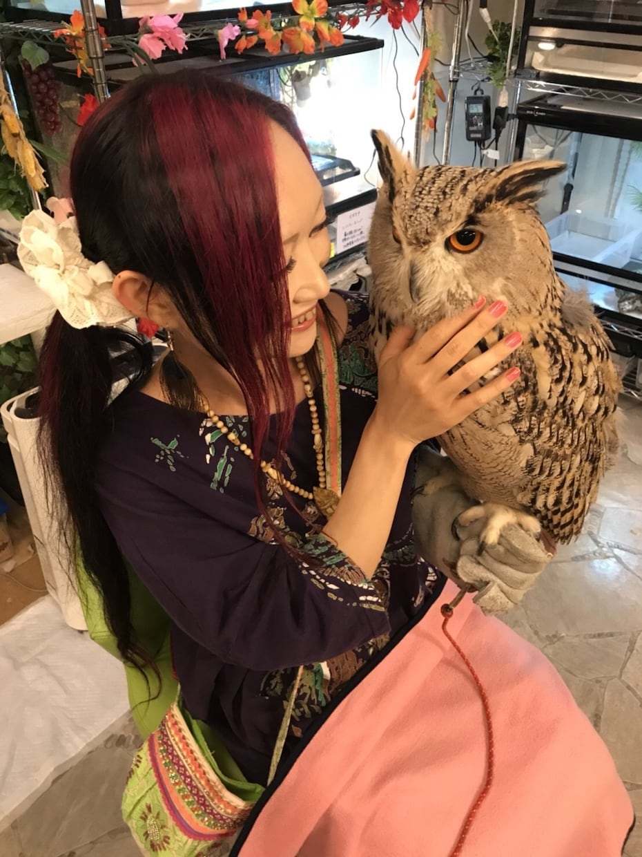 アニマルコミュニケーションで動物さんとお話します ペットさんと気持ちを通わせて、より絆を深めましょう。 イメージ6