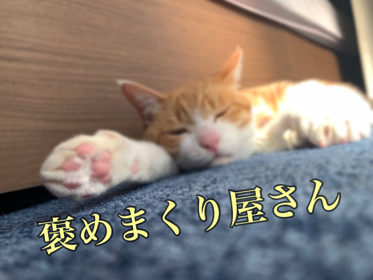 自信を持てるように褒めまくります 自信が持てない貴方を褒めて褒めて褒めまくります！ イメージ1