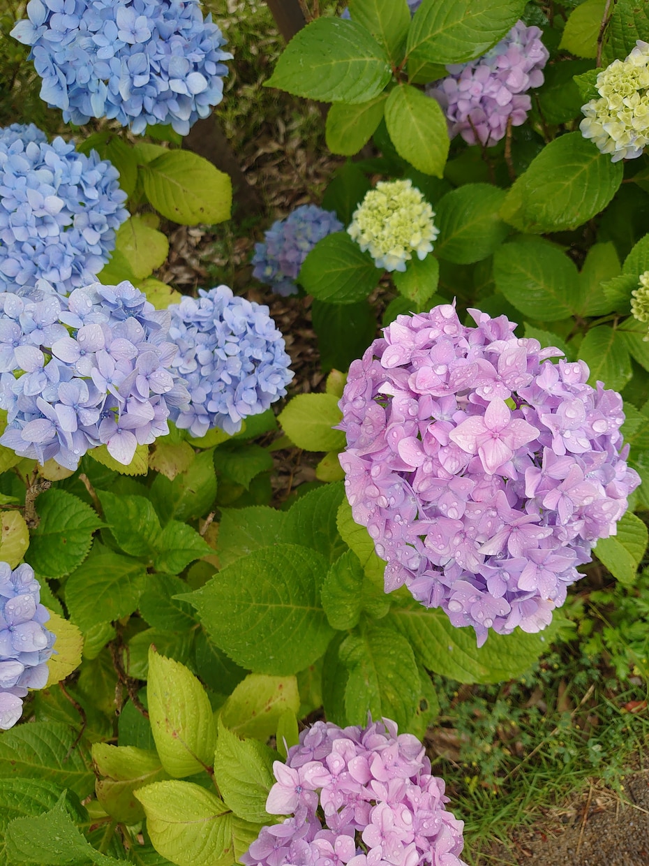 会話♡話したい♥【愚痴】恋愛など　何でも聞きます 今すぐ話したい✧叶います♥人間関係など　もやもやが晴れます♥ イメージ6