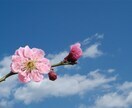 10年後も健康に！【中医学的体質】診断します 薬剤師が、あなたにあった養生法をアドバイスします イメージ3