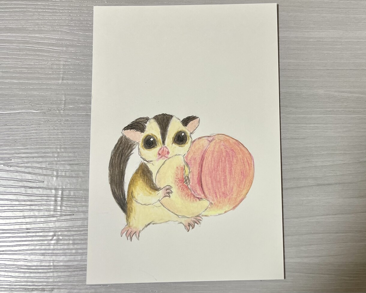 ペットのイラストを描きます あなたの大事なペットの写真を色鉛筆で描きます イメージ10