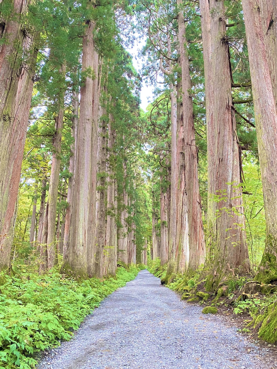 高次元×霊感霊視 波動を整え、望む未来へ導きます 未来を当てるより、未来を創るための気づきの鑑定♪ イメージ4