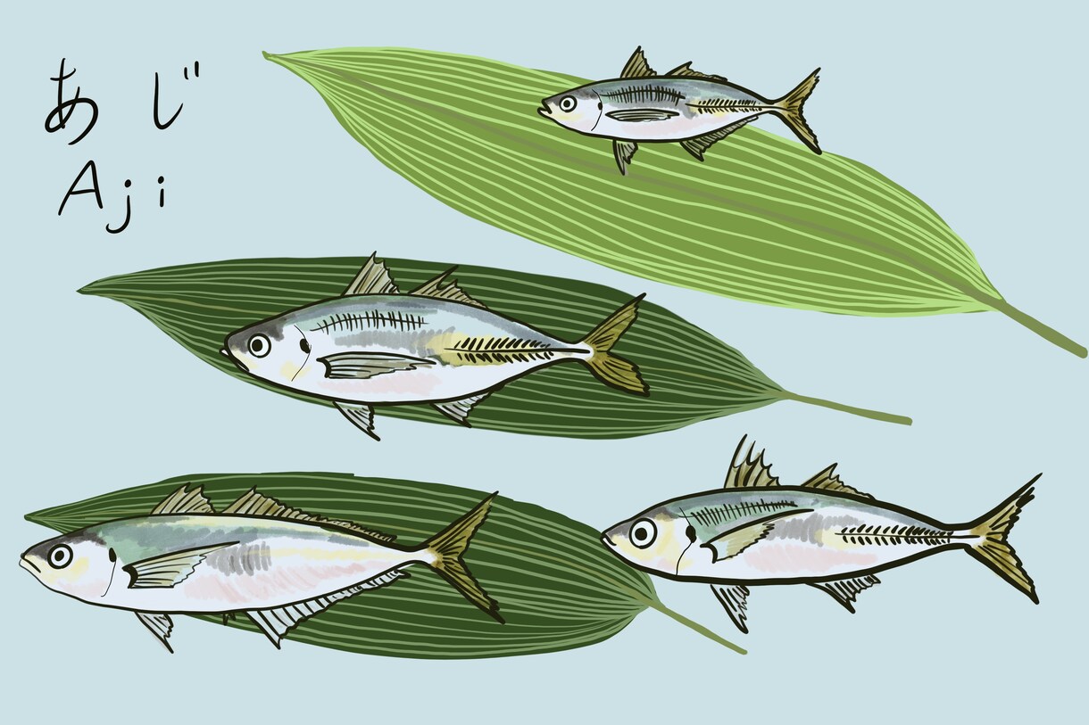 魚や魚介類の爽やかなイラストを描きます 爽やかな水彩タッチの海の生物のイラストいかがですか。 イメージ4