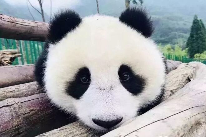 中国語会話レッスンいたします 日本語が話せる中国人、ネィティブな中国語を教えます！ イメージ1