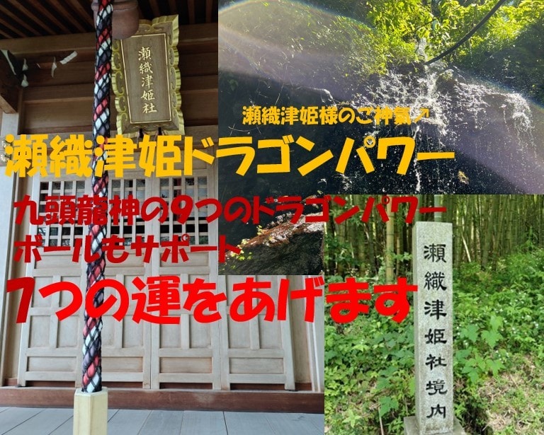 瀬織津姫のドラゴンパワーヒーリング®伝授致します ∞九頭龍神の9つのドラゴンパワーボールもサポート∞ イメージ2