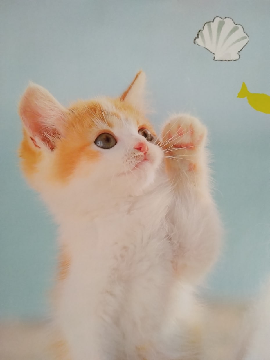 70代あーちゃんが♡出品者さんを優しく応援します 不安から出来たの喜びへ♡成功体験　自信　笑顔　応援　共感 イメージ5