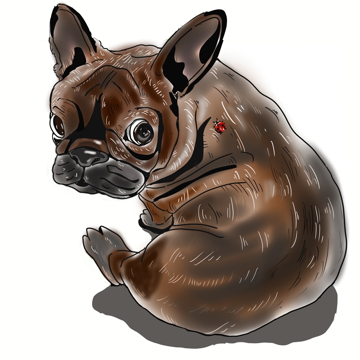 ペットのイラスト描きます 写真からペットのイラスト描きます。 イメージ1