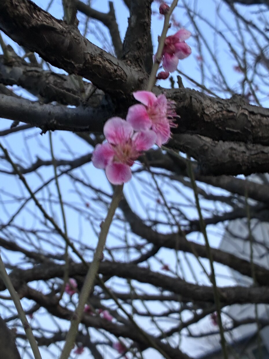 愚痴をずっと聴きます 愚痴聴き屋します。こんな世の中吐き出したい事山ほどあるはず。 イメージ3