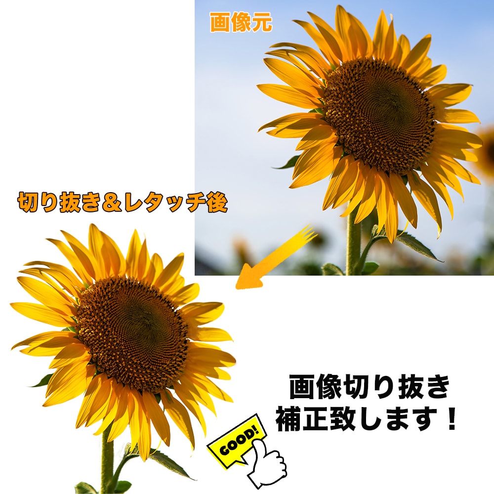 画像切り抜き＆レタッチいたします Photoshopを使って行います♪ イメージ1