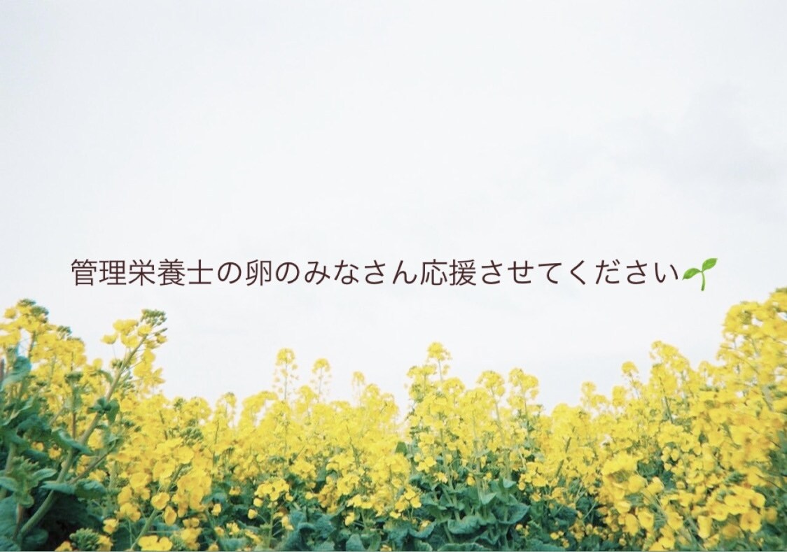国試対策、就活等の相談のります 管理栄養士の卵のみなさん応援させてください☺︎ イメージ1