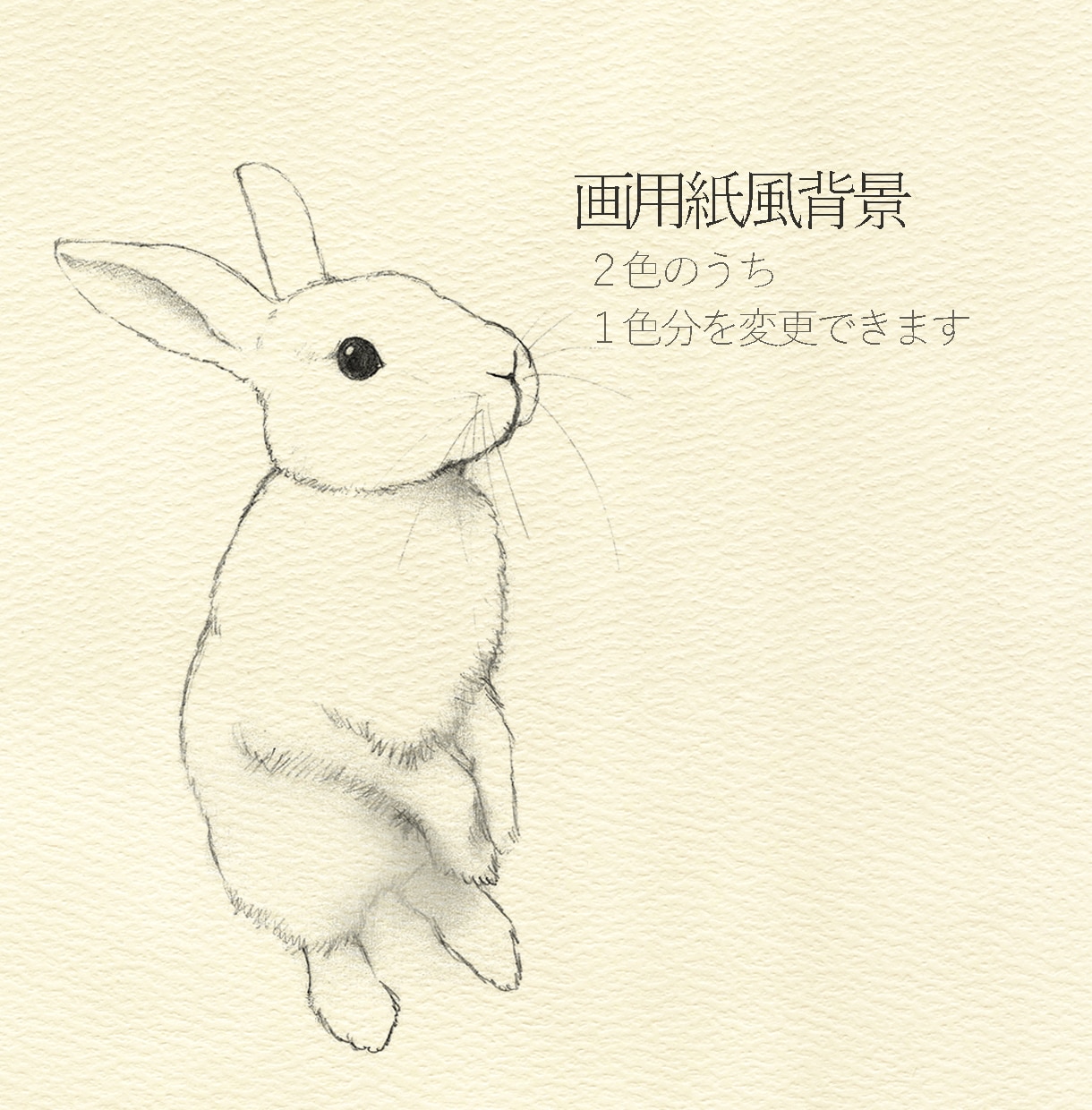 シンプル 鉛筆 線画｜写真から似顔絵描きます 手描きの優しい線画。お好きな色を２色まで。 イメージ4