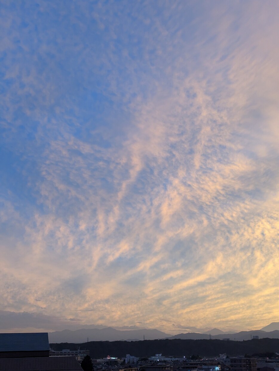 介護事業経験30年の事務サポート資料作成代行します 現場で役立つ資料作成、ライティングなどお気軽にご相談下さい。 イメージ1