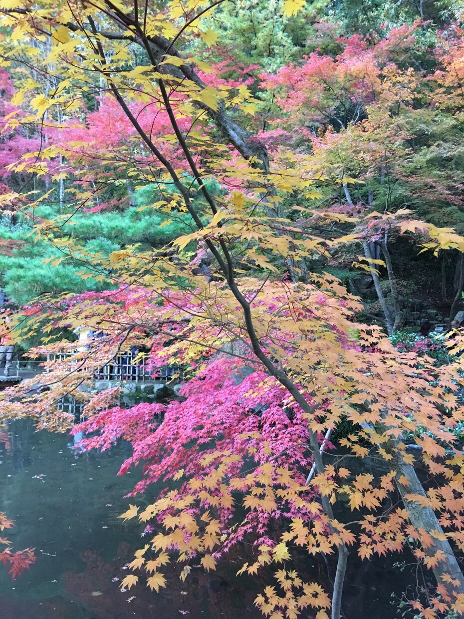 今すぐ、私が『共感』の『心』で全て受け止めまます ⚡たった５分でも⭐愚痴吐き出してみませんか？❤️ イメージ3