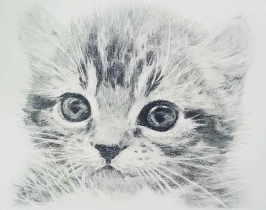 ペットの似顔絵描きます 手書き、ペットの記念イラストいかがですか？ イメージ5