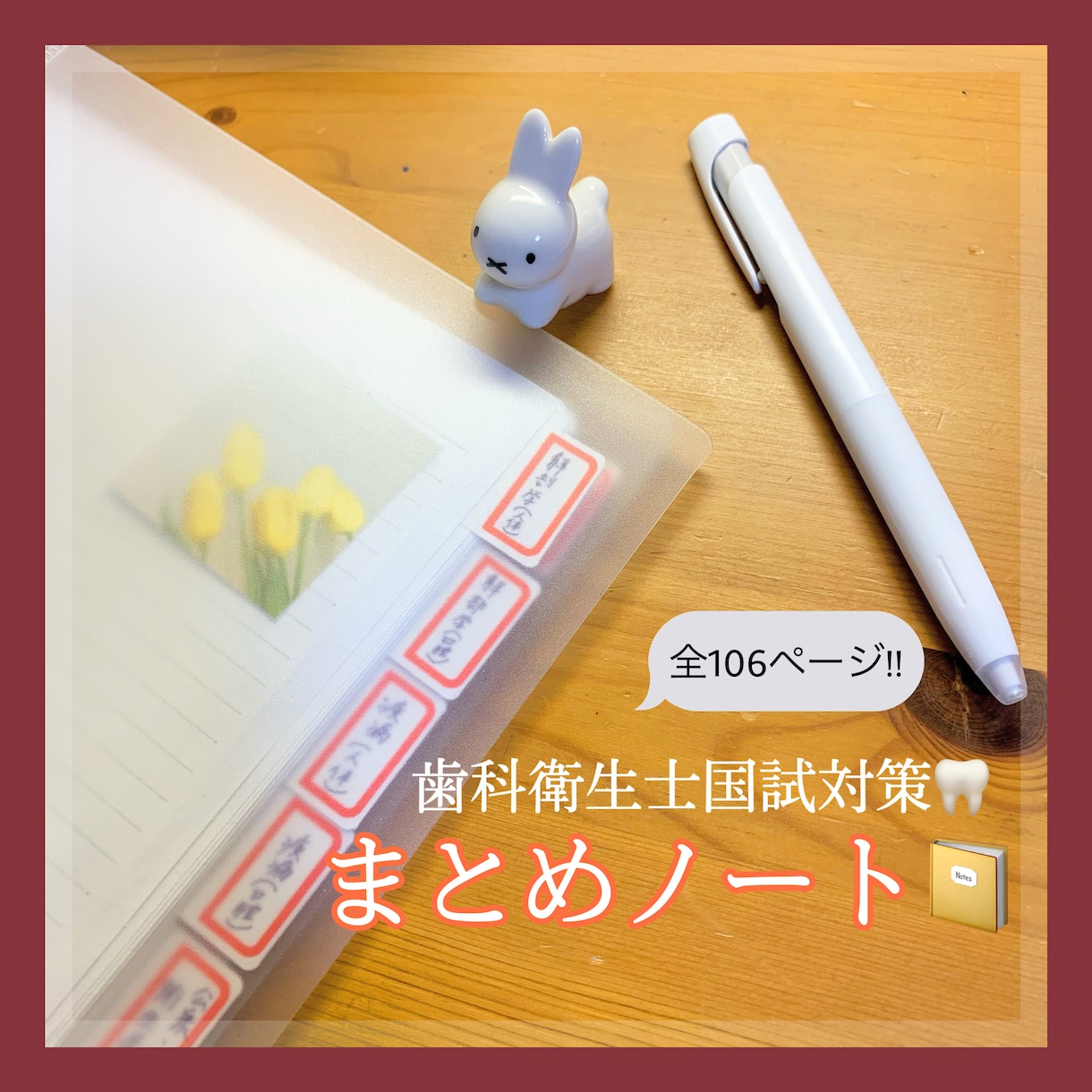 現役DH作成！国試対策まとめノートをお届けします 勉強の時短に！語呂合わせも多数記載しています^_^ イメージ1