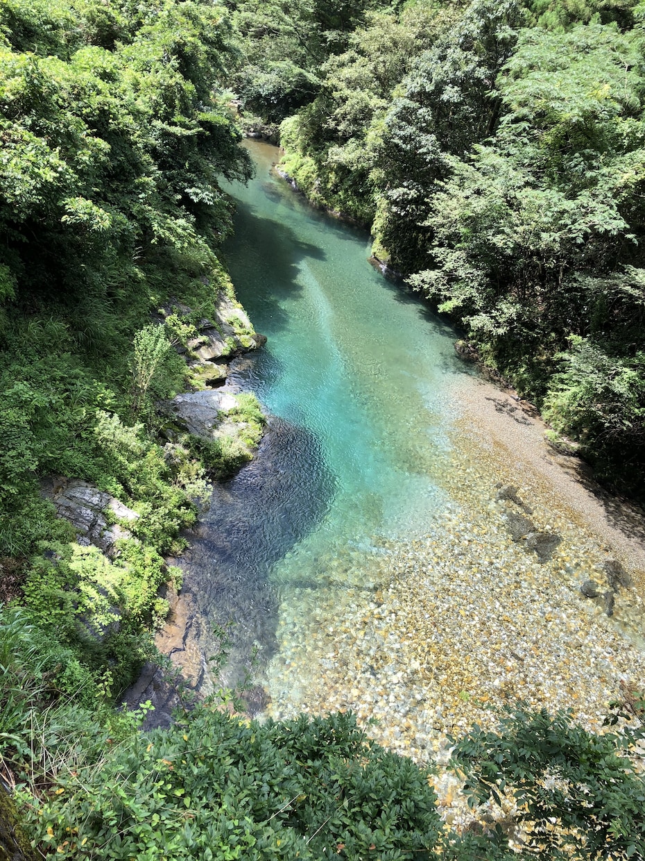 あちこちに出かけて撮影した写真を提供します 自然、動物、遊びが大好きです私が出逢った景色を観て下さい イメージ1