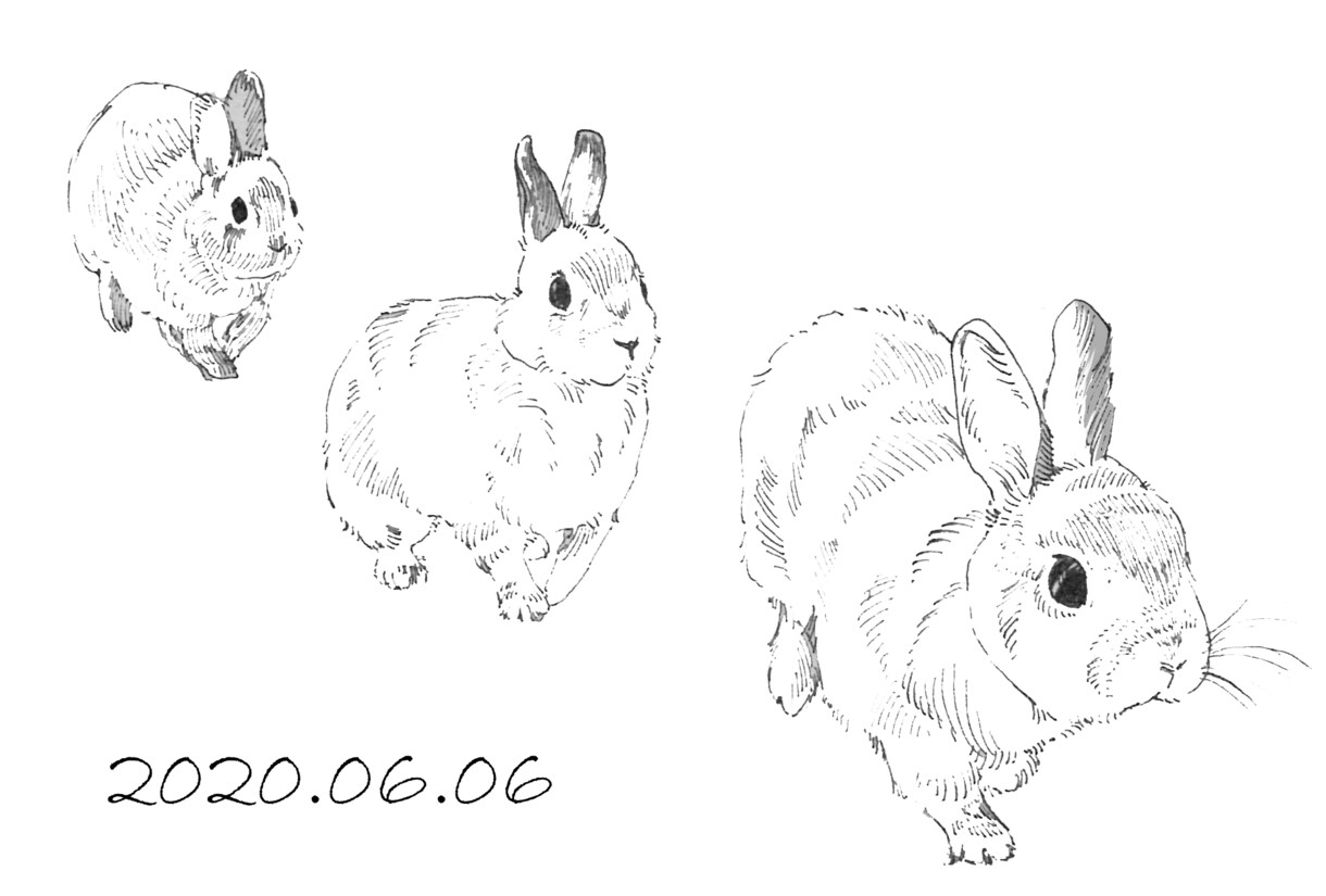 動物のおしゃれなイラスト描きます お写真・動画をもとに動きのあるイラストを作成します！ イメージ5