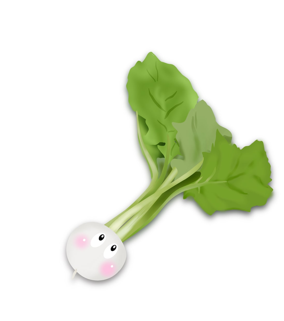 zentoku様専用受付ボックスでございます いつもありがとうございます。どうぞ、宜しくお願い致します。 イメージ1